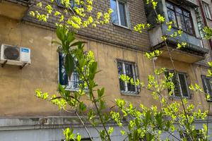 квартира за адресою Левка Лук'яненка вул. (Василя Жуковського), 39/41