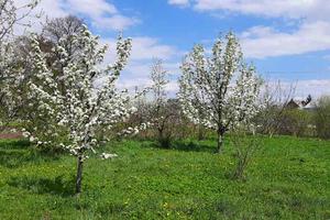 будинок за адресою Романа Сушка вул., 5