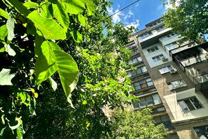 квартира за адресою Ботанічний пров., 2