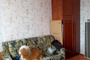 квартира за адресою Академіка Павлова вул., 146