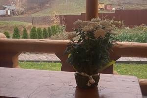 будинок за адресою Польова