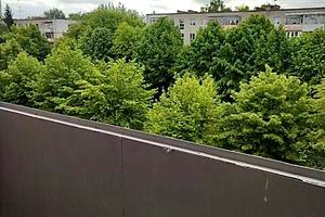 квартира за адресою Ярослава Гашека вул., 17