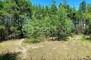 ділянка за адресою Новообухівське шосе