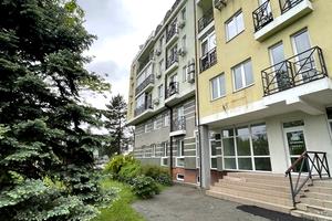 комерційна за адресою Київська вул., 169