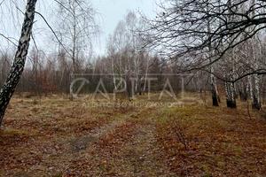 участок по адресу с. Козин, 
