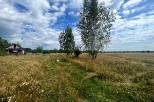 ділянка за адресою с. Козинці, 