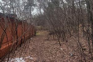 участок по адресу с. Великая Бугаевка, Васильківська