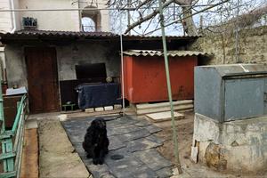 дом по адресу с. Фонтанка, Патриотическая ул., 68