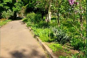 квартира по адресу Брюллова ул., 13