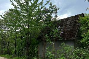 участок по адресу Забава ул.