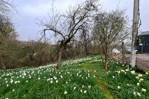 ділянка за адресою Бігова вул.