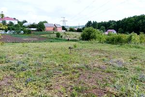 ділянка за адресою вул.Різдв'яна, 3