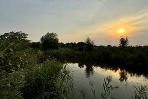 ділянка за адресою Вишнева