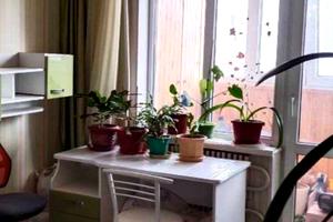 квартира за адресою Академіка Павлова вул., 319а