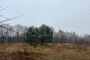 участок по адресу с. Козин, 