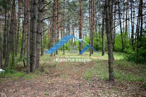 участок по адресу с. Плюты, 