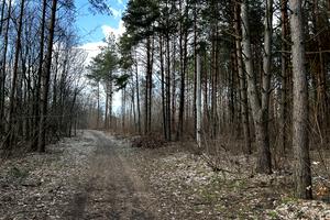 участок по адресу Садовая ул.