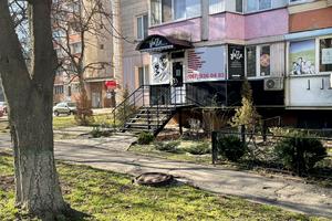 коммерческая по адресу Ирпенская ул., 69