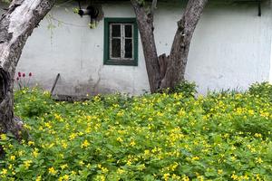 будинок за адресою Садове товариство Академік, 3-Лінія, 103