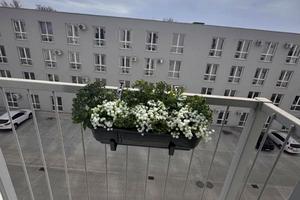 квартира по адресу Николая Боровского ул., 16