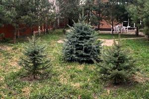 будинок за адресою Осокорки