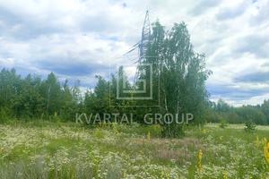 участок по адресу с. Стоянка, Федора Кричевського