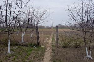 будинок за адресою с. Клебань, Ленина, 21
