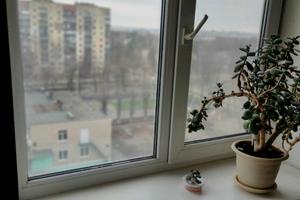 квартира по адресу Ковтуна ул., 19