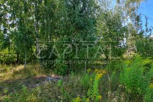 участок по адресу с. Иванковичи, 