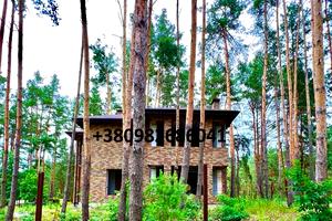 дом по адресу Каштановая ул. (Тракторна)