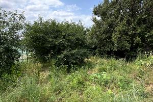 ділянка за адресою Гориста вул., 16/7