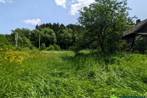 ділянка за адресою 