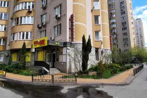 комерційна за адресою Дніпровська набережна вул., 19-А