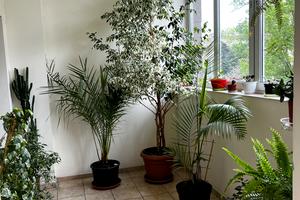 квартира за адресою Французький бульв., 22