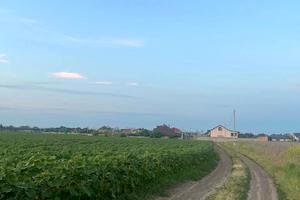 участок по адресу Царське село