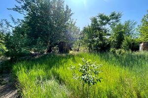 будинок за адресою Володимира Полубоярцева вул. (Вахтангова), 43