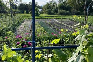 будинок за адресою Гайова