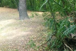 участок по адресу Краматорский пер., 6