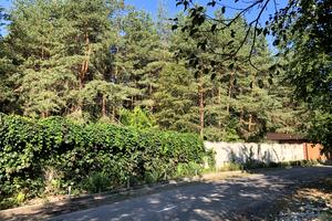 ділянка за адресою провулок Озерний