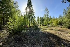 участок по адресу с. Дмитровка, Північна, 1