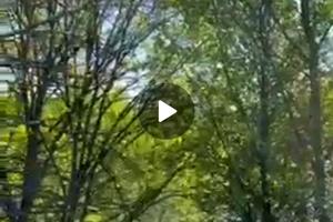 будинок за адресою шевченка