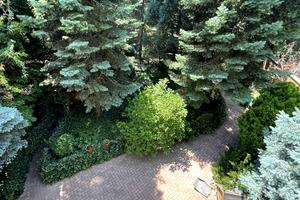 дом по адресу Чубаевская ул., 5