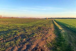 ділянка за адресою с. Ільківка, 