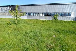 комерційна за адресою смт. Клевань, вул. Центральна, 32а