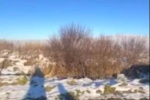 ділянка за адресою Рошкевич