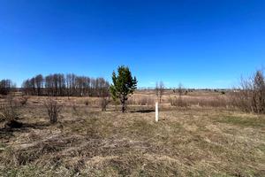 ділянка за адресою Приозерна