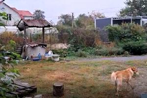 будинок за адресою лесі українки
