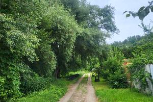 ділянка за адресою Наталії Кобринської вул.