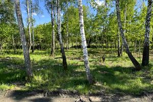 участок по адресу Ирпень, Федора Кричевського, 25б