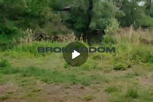 участок по адресу вул.Облепихова